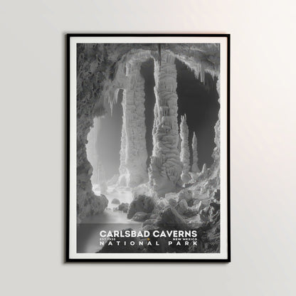 Carlsbad Caverns National Park Poster | S15