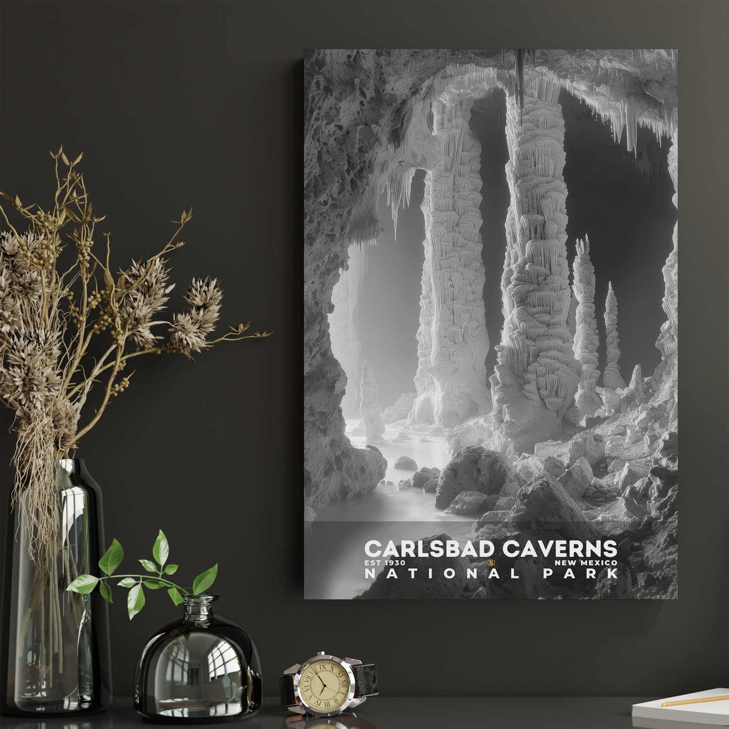 Carlsbad Caverns National Park Poster | S15