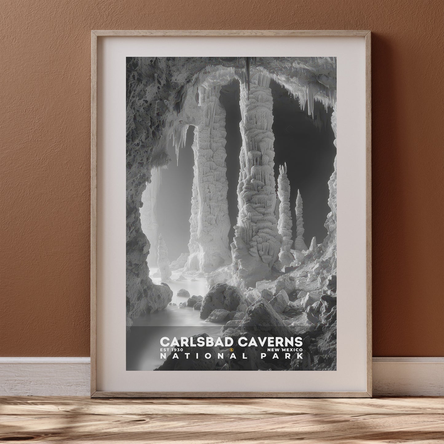 Carlsbad Caverns National Park Poster | S15