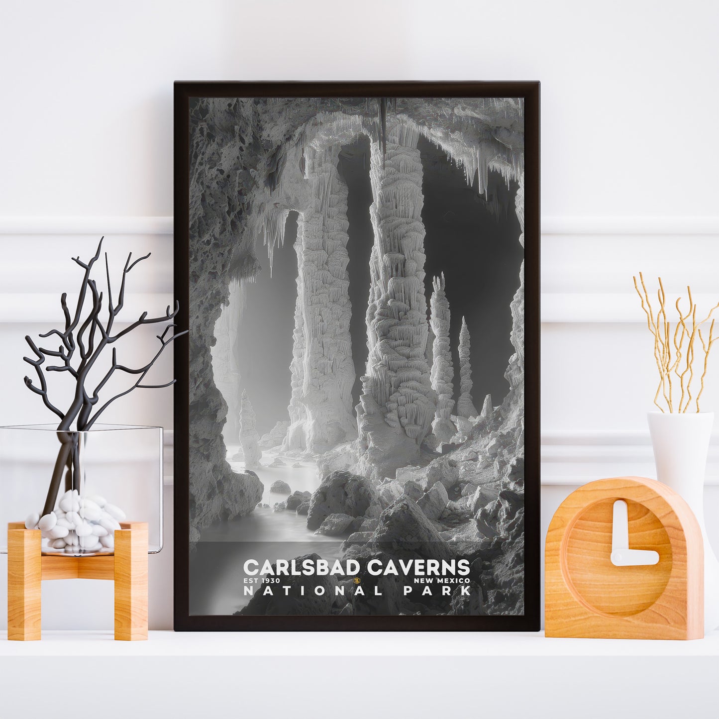 Carlsbad Caverns National Park Poster | S15