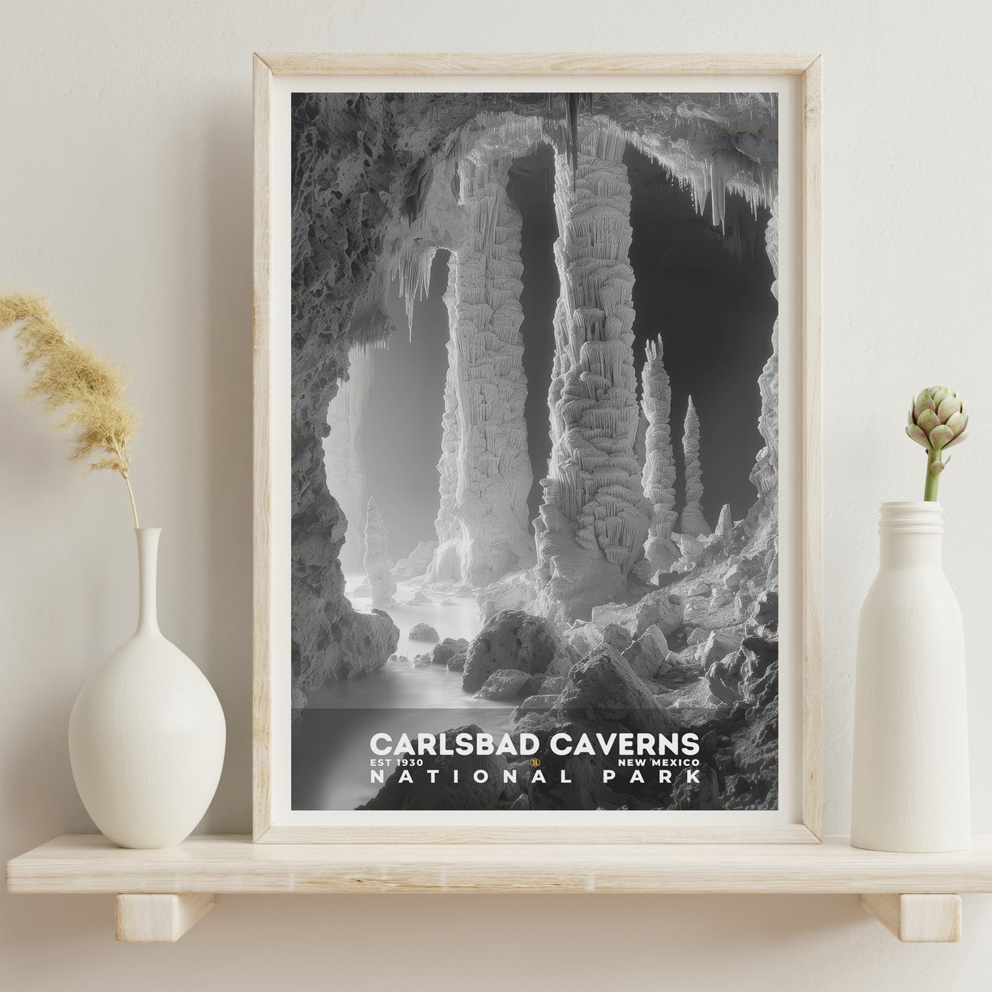 Carlsbad Caverns National Park Poster | S15