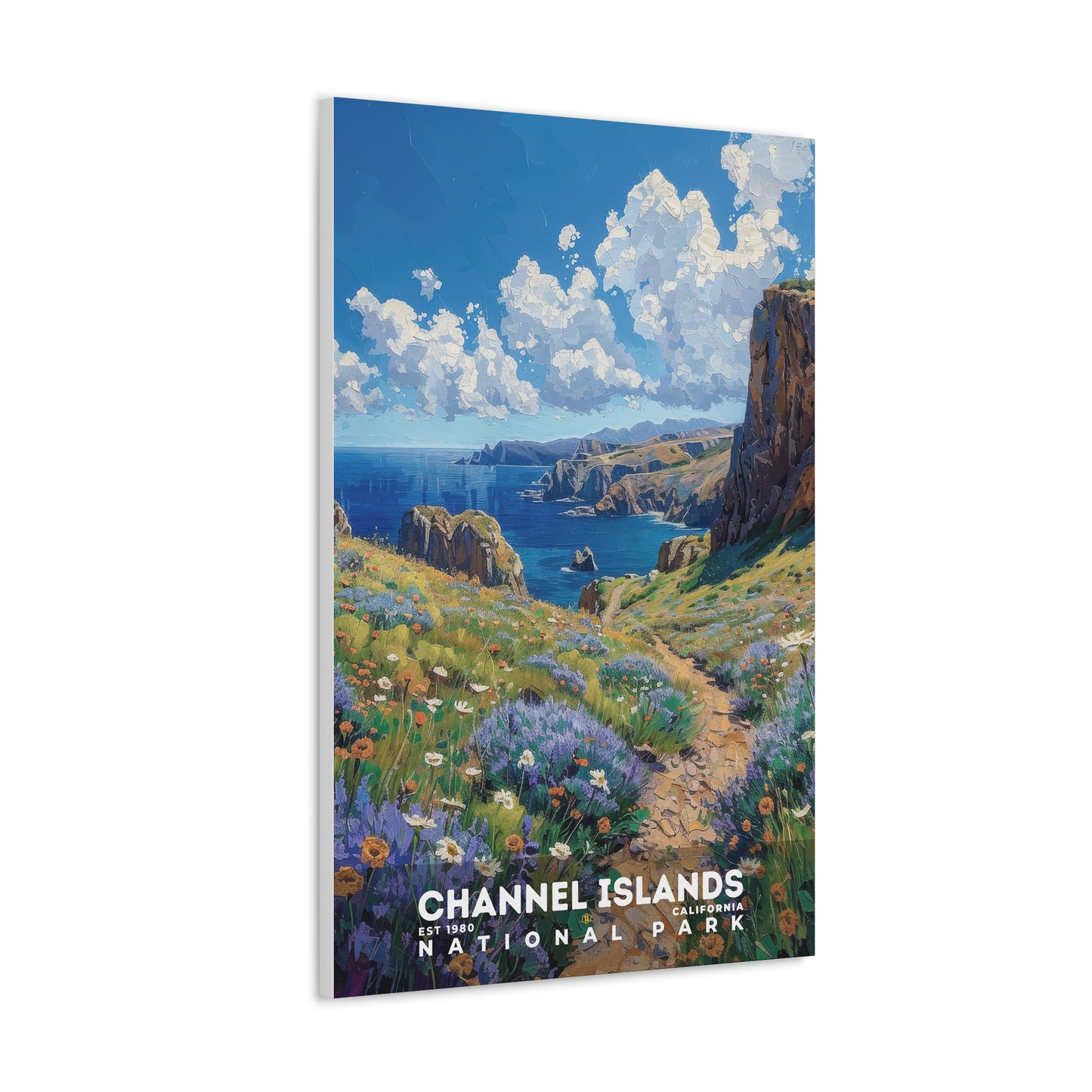 Channel Islands National Park Poster | S14