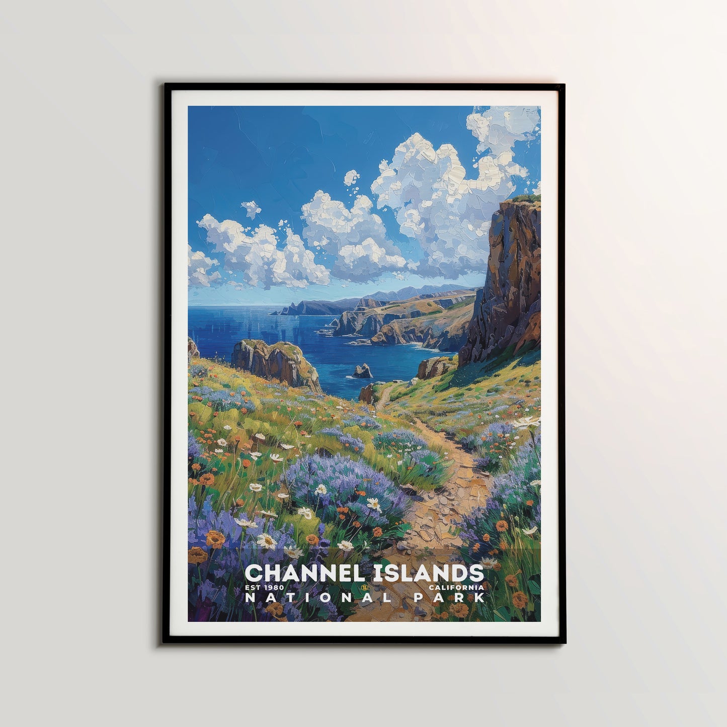 Channel Islands National Park Poster | S14