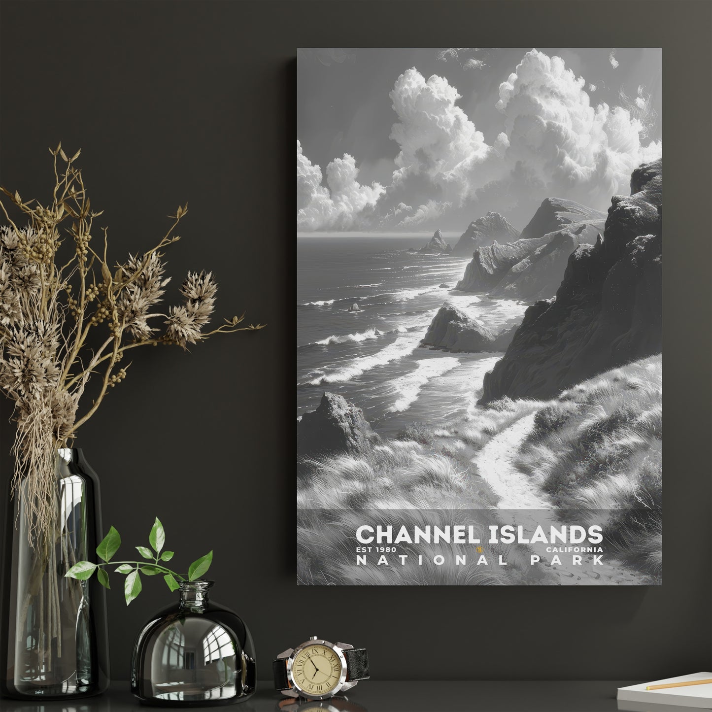 Channel Islands National Park Poster | S15