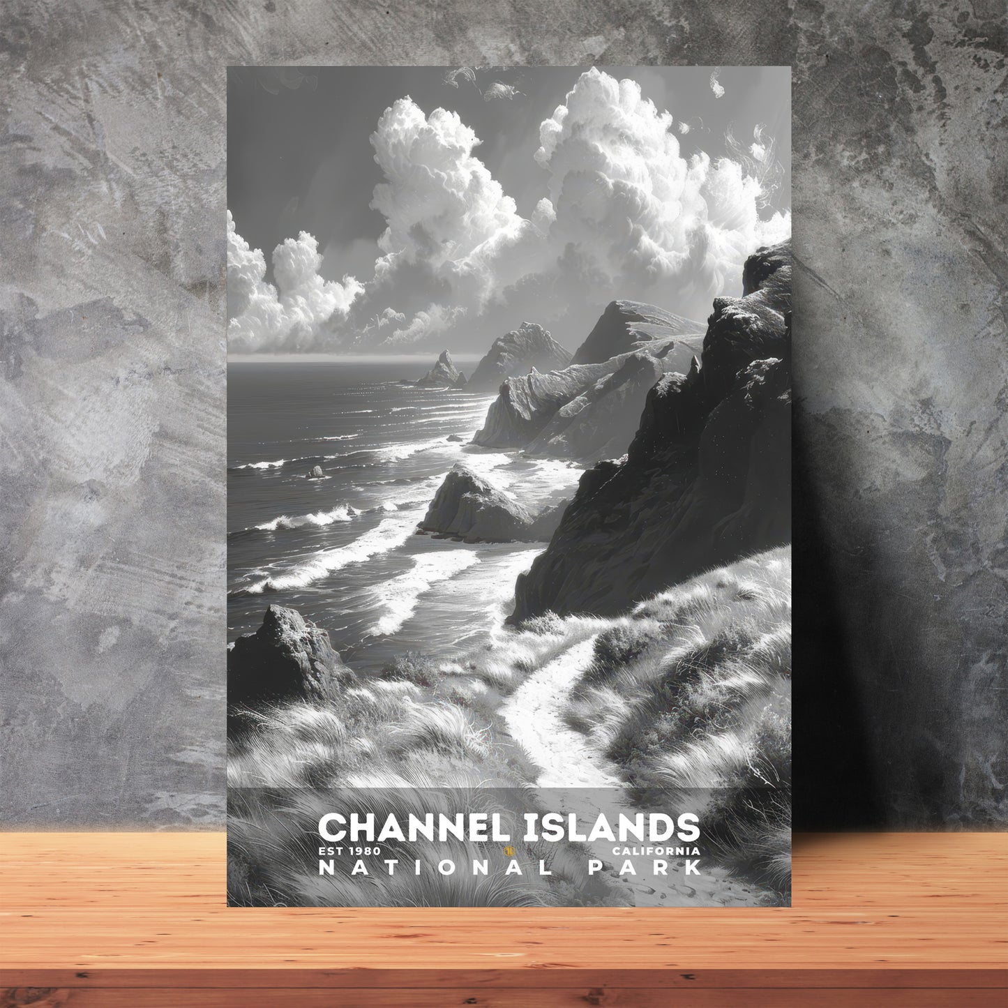 Channel Islands National Park Poster | S15