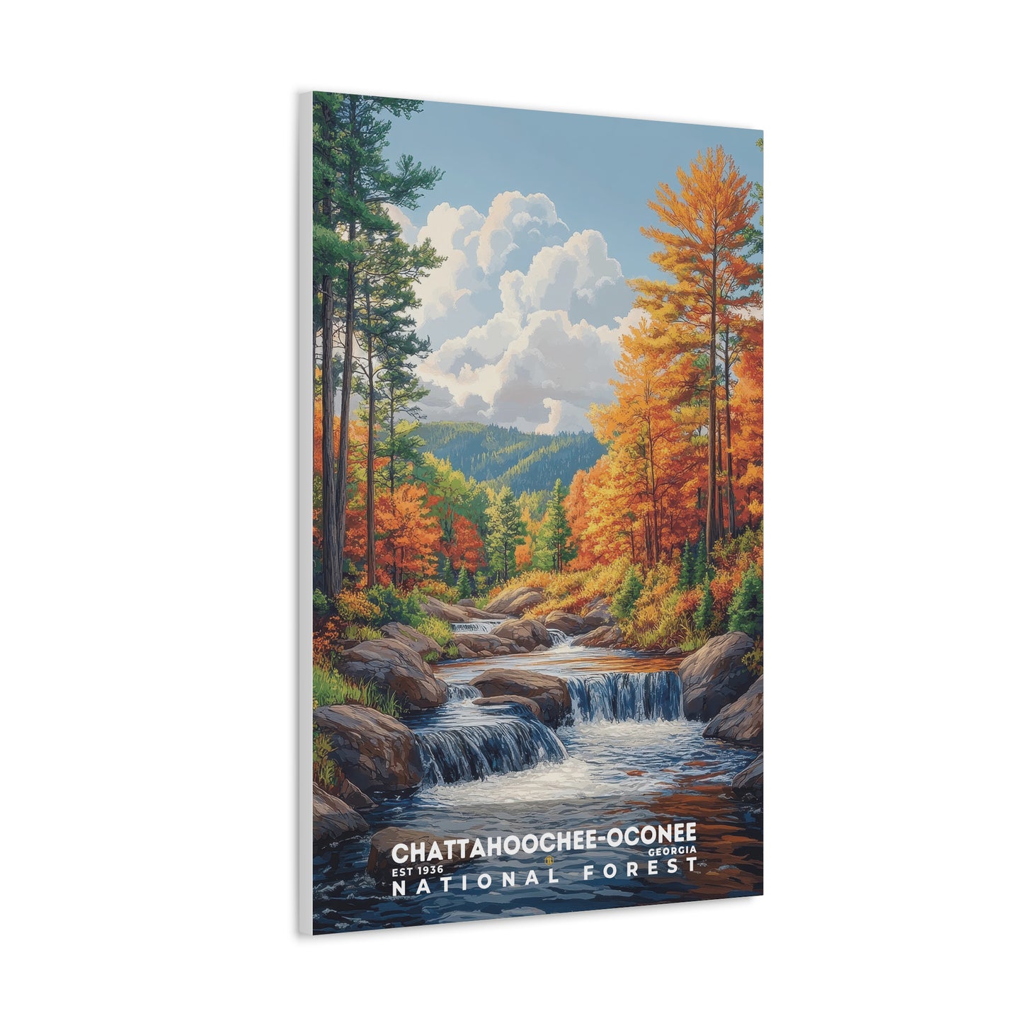 Chattahoochee-Oconee National Forest Poster | S02