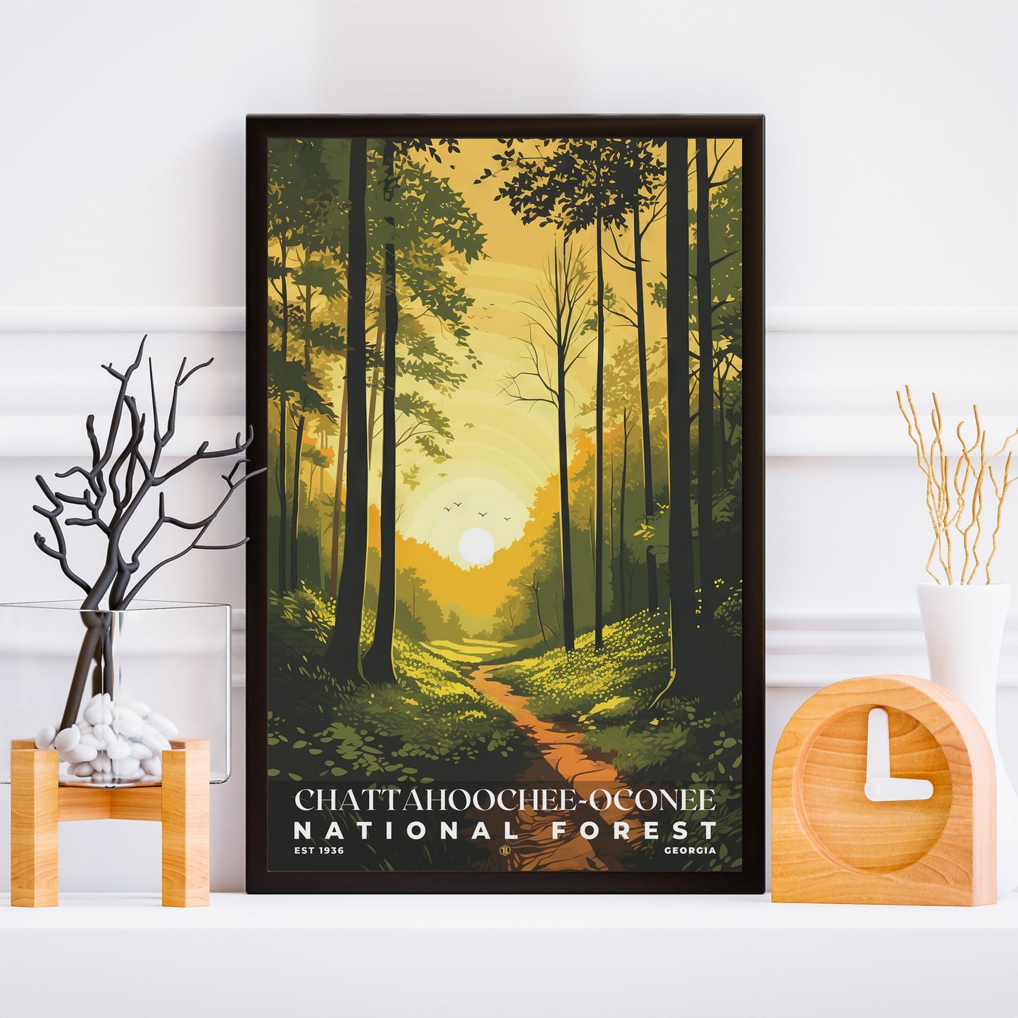 Chattahoochee-Oconee National Forest Poster | S01