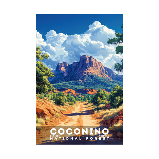 Coconino National Forest Poster | S02