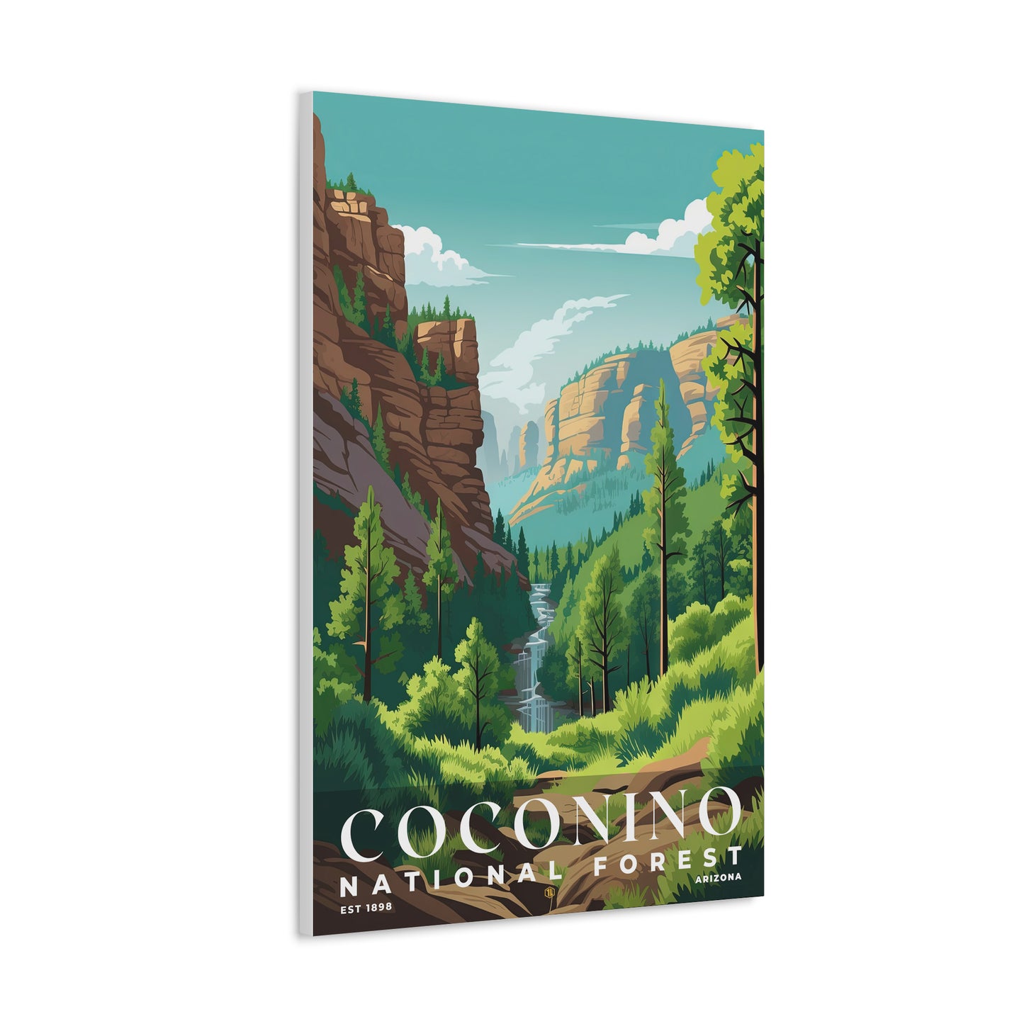 Coconino National Forest Poster | S01