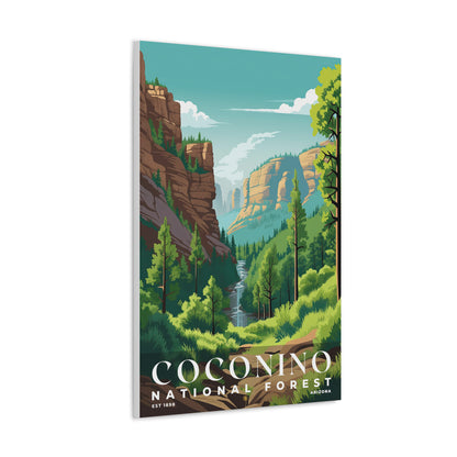 Coconino National Forest Poster | S01