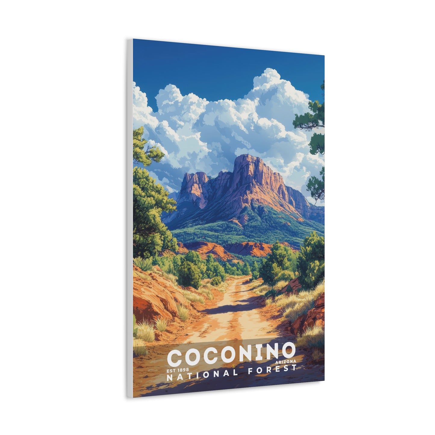 Coconino National Forest Poster | S02