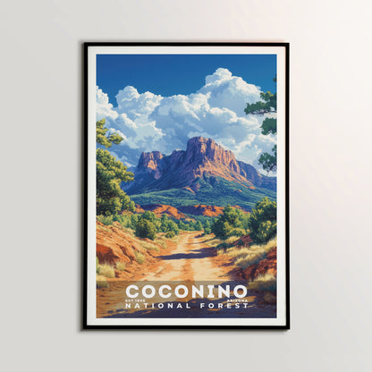 Coconino National Forest Poster | S02