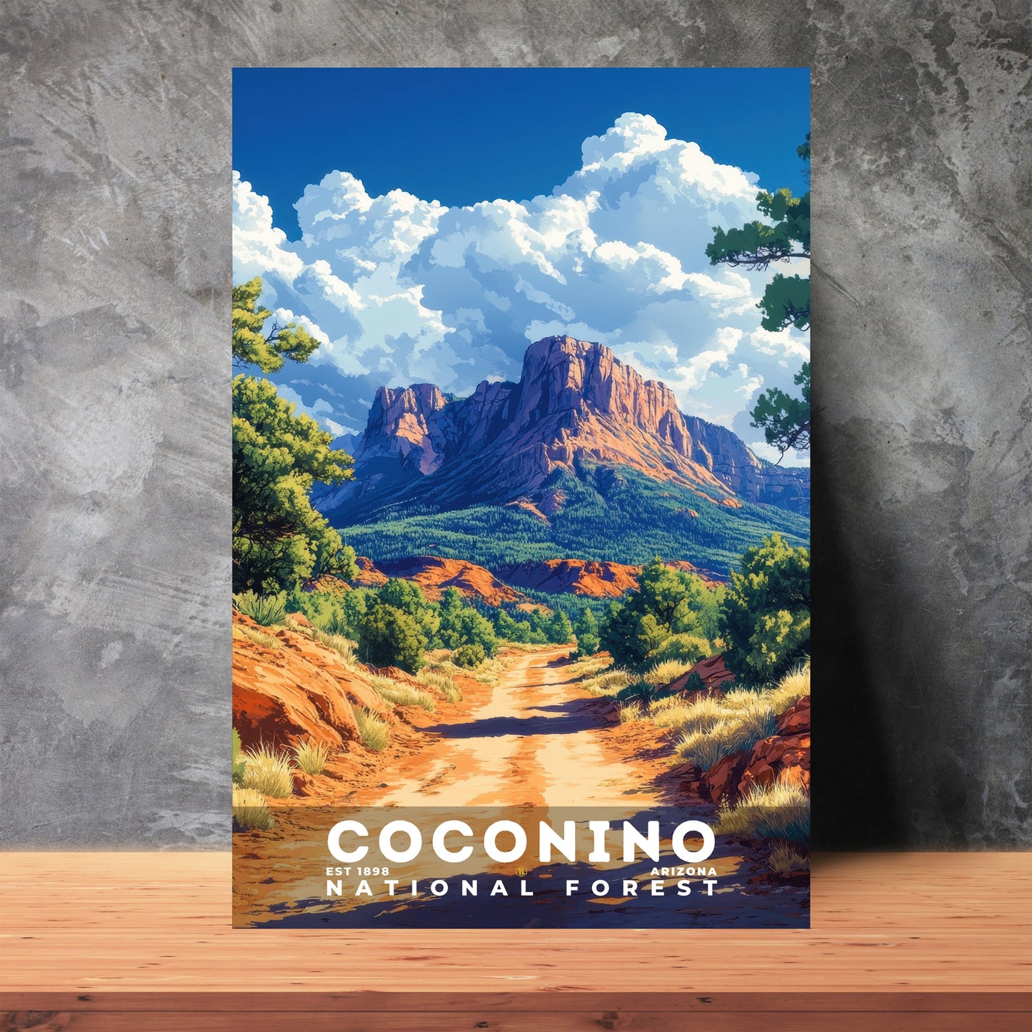 Coconino National Forest Poster | S02