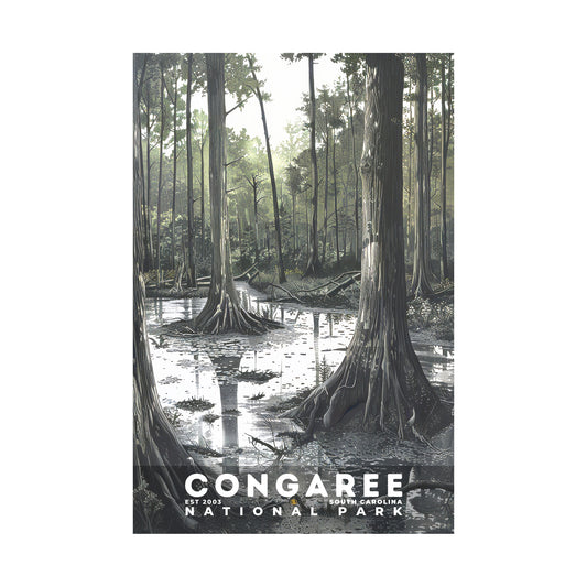 Congaree National Park Poster | S17