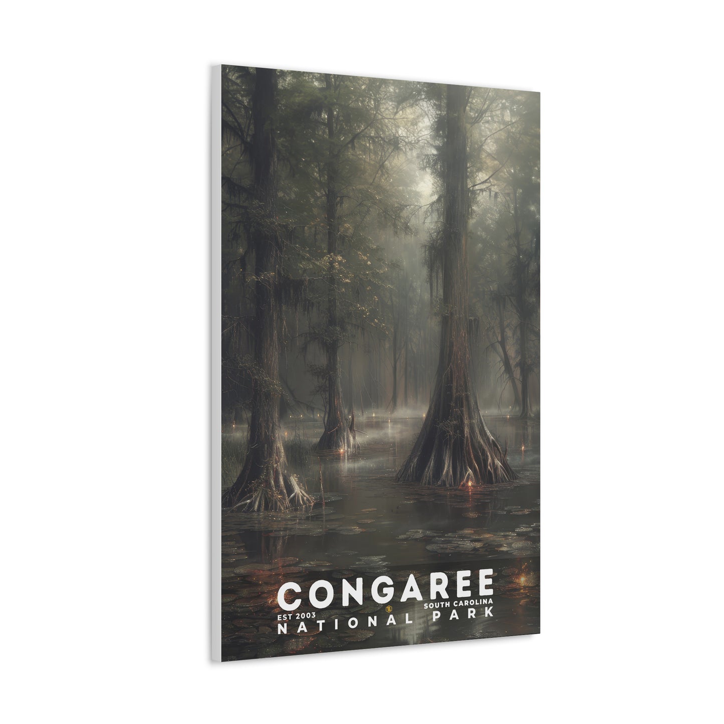 Congaree National Park Poster | S12