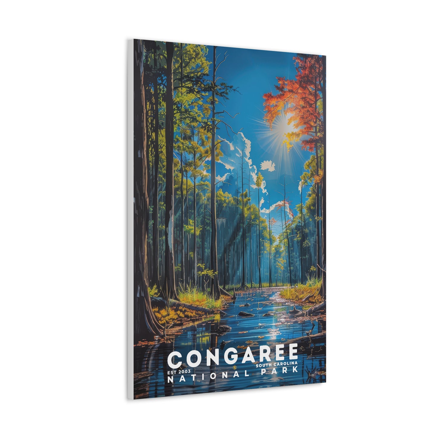 Congaree National Park Poster | S16