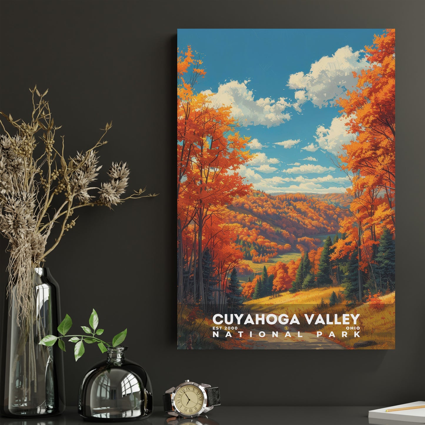 Cuyahoga Valley National Park Poster | S13