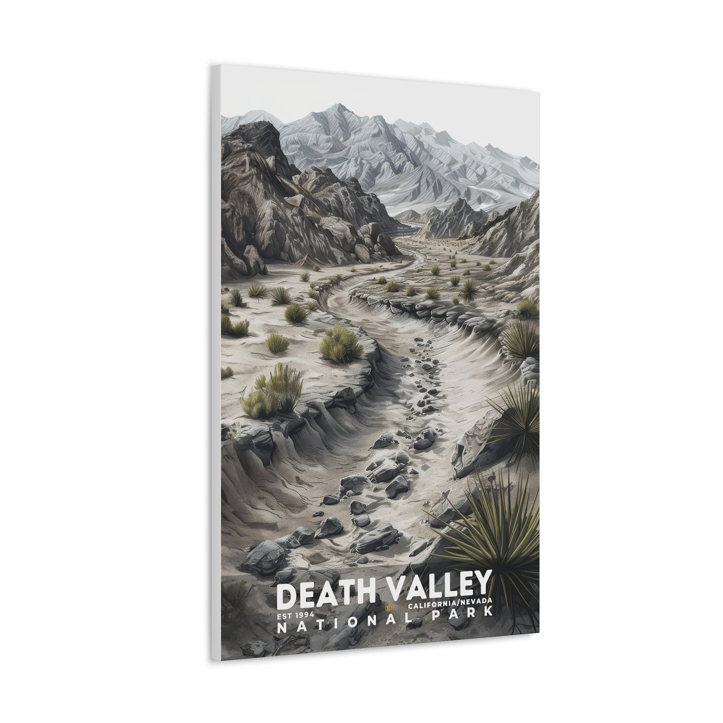 Death Valley National Park Poster | S17