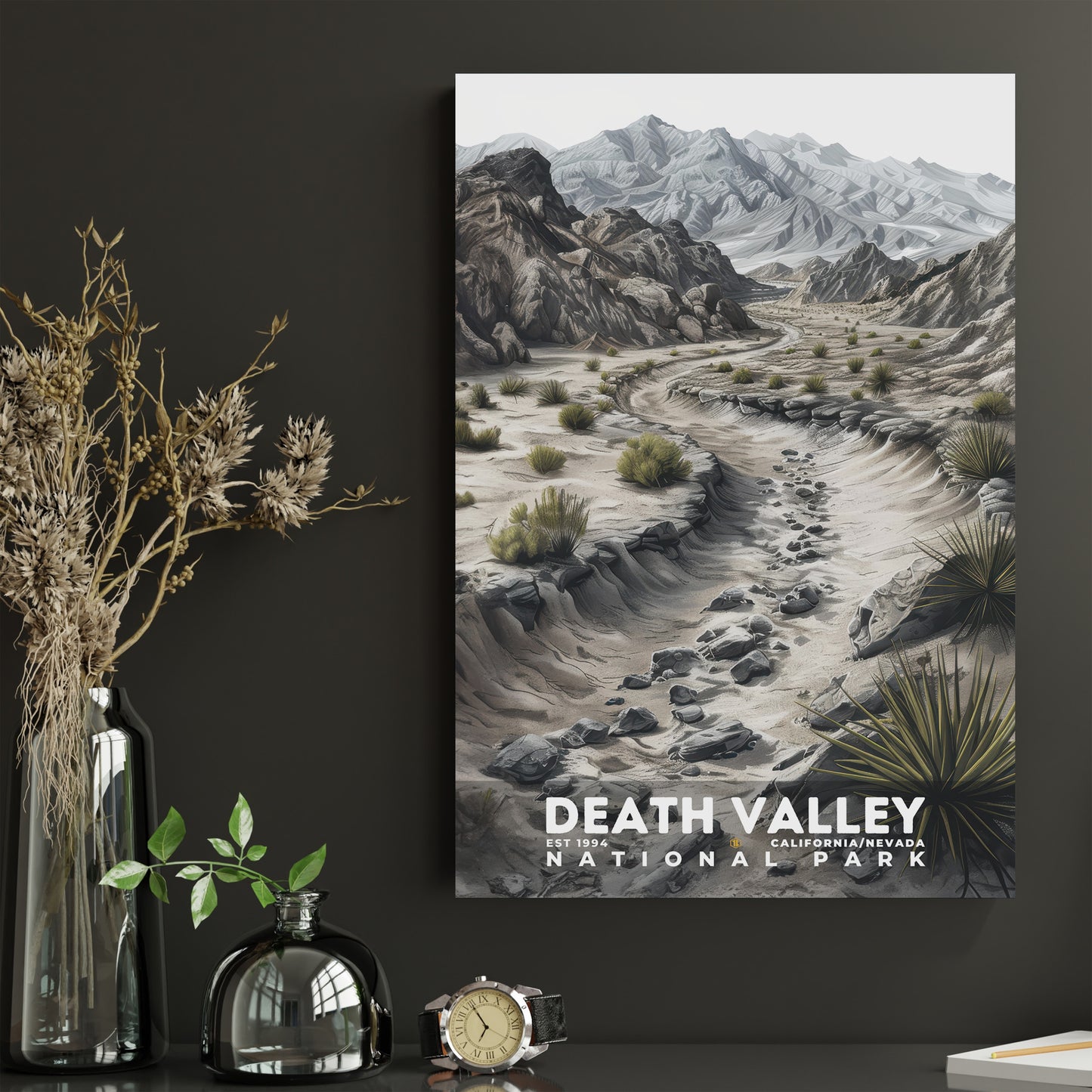 Death Valley National Park Poster | S17