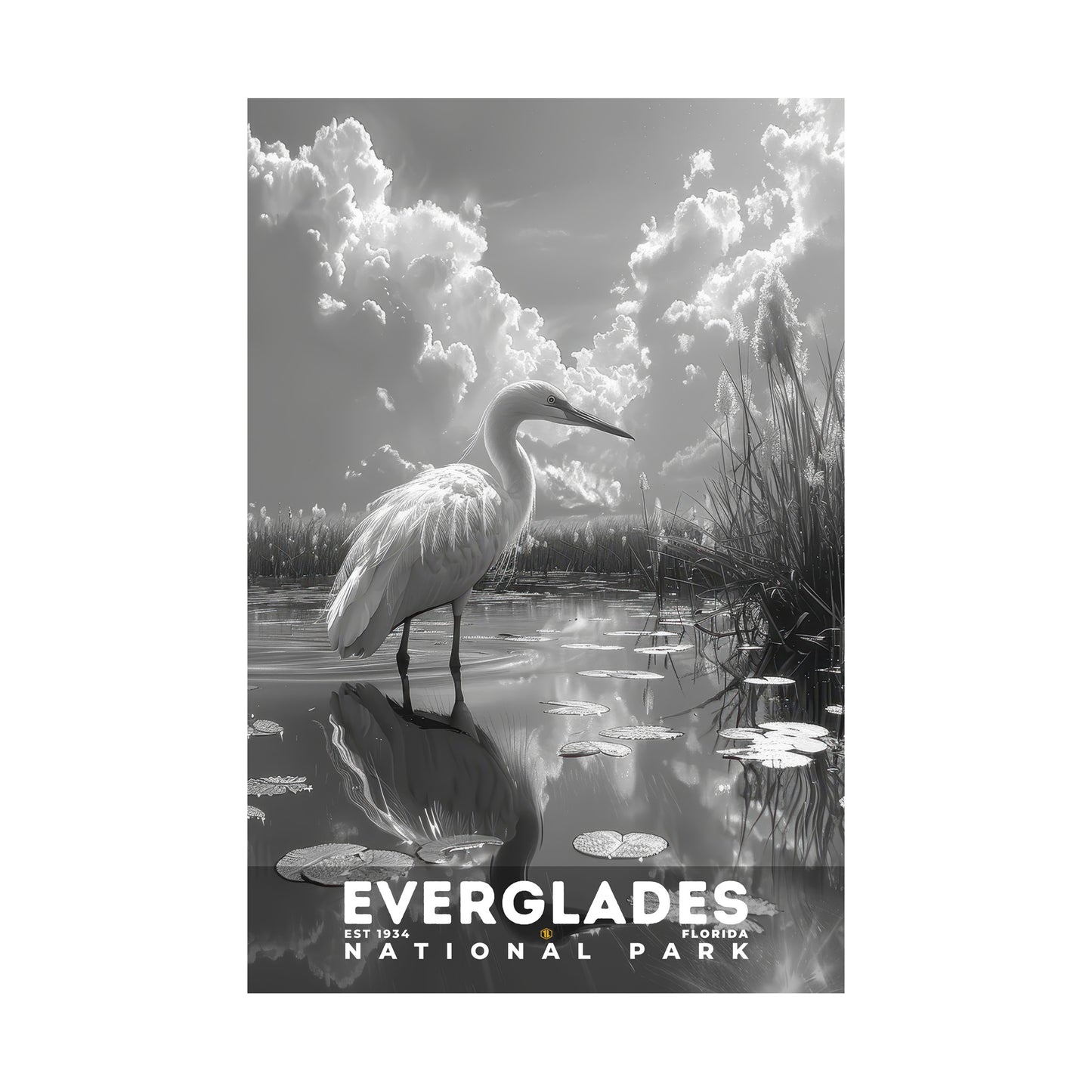 Everglades National Park Poster | S15