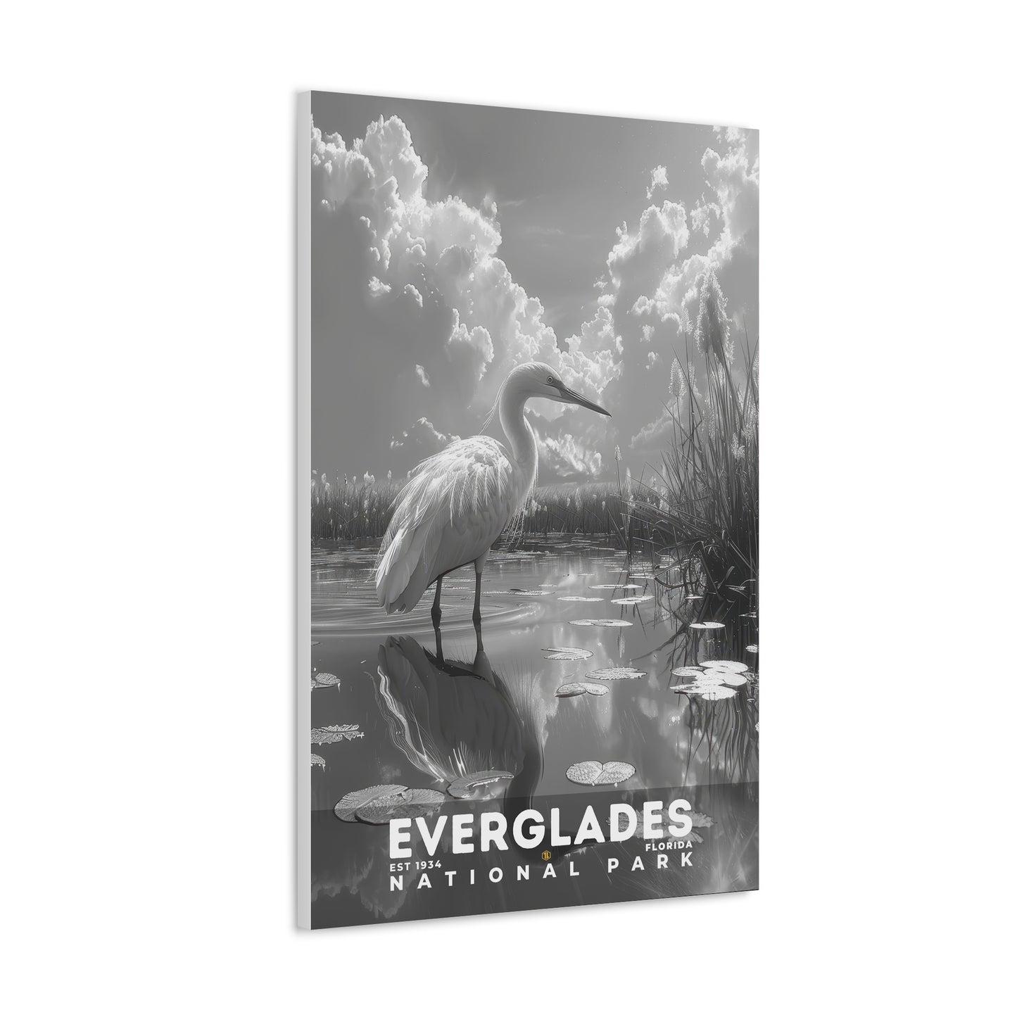 Everglades National Park Poster | S15