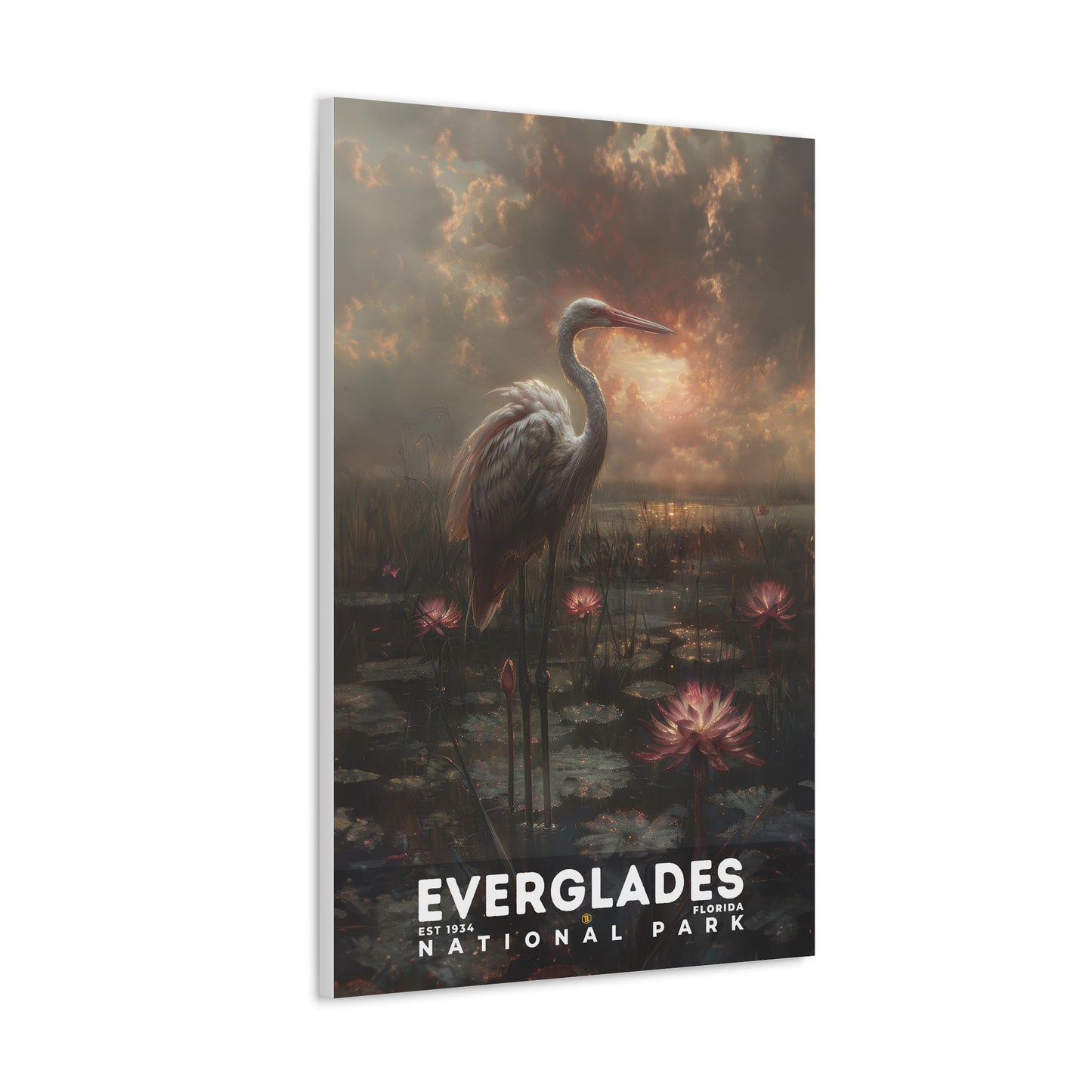 Everglades National Park Poster | S12