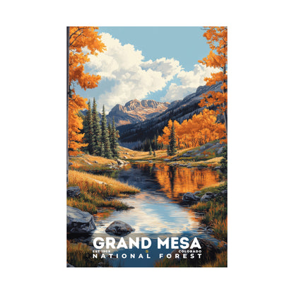 Grand Mesa National Forest Poster | S02