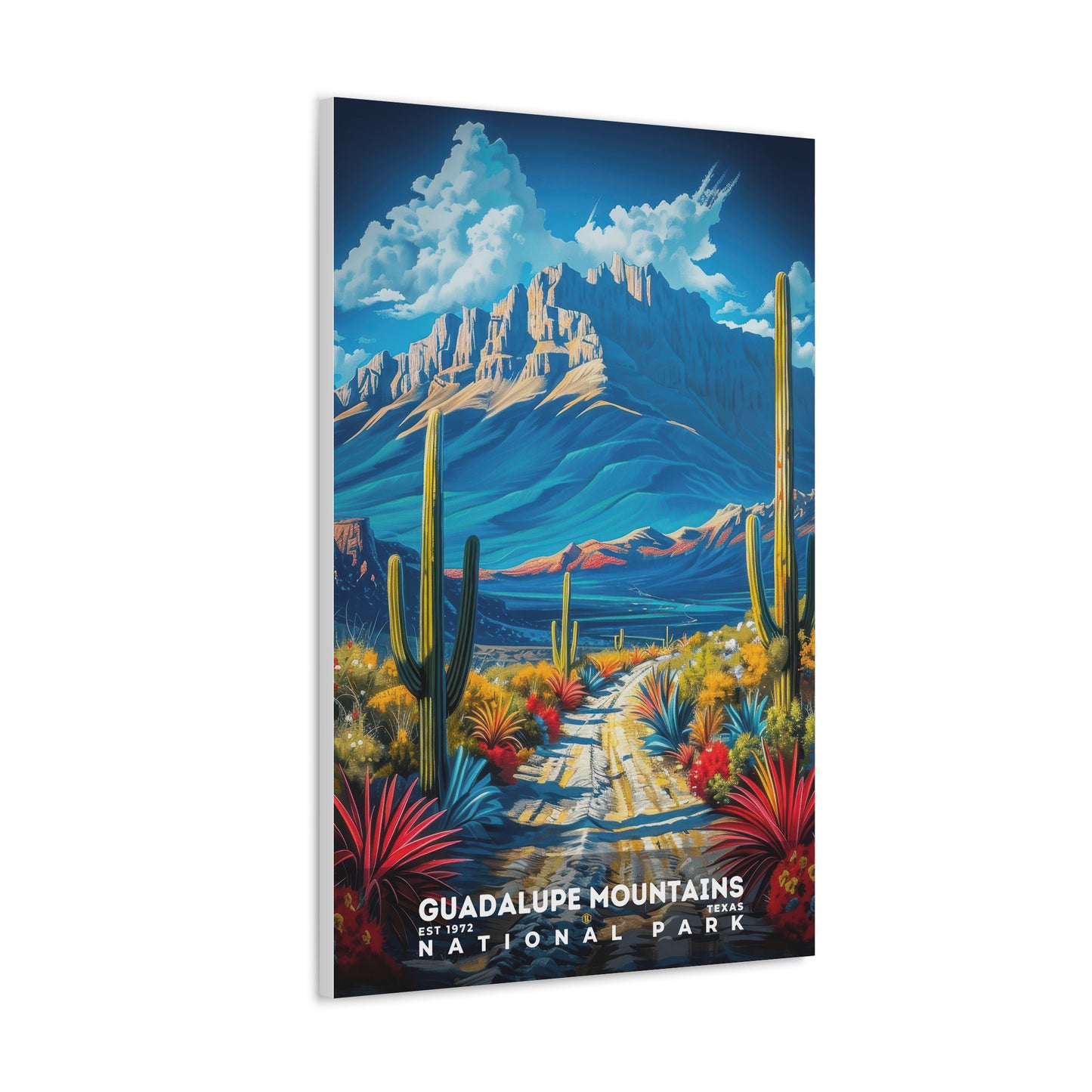 Guadalupe Mountains National Park Poster | S16