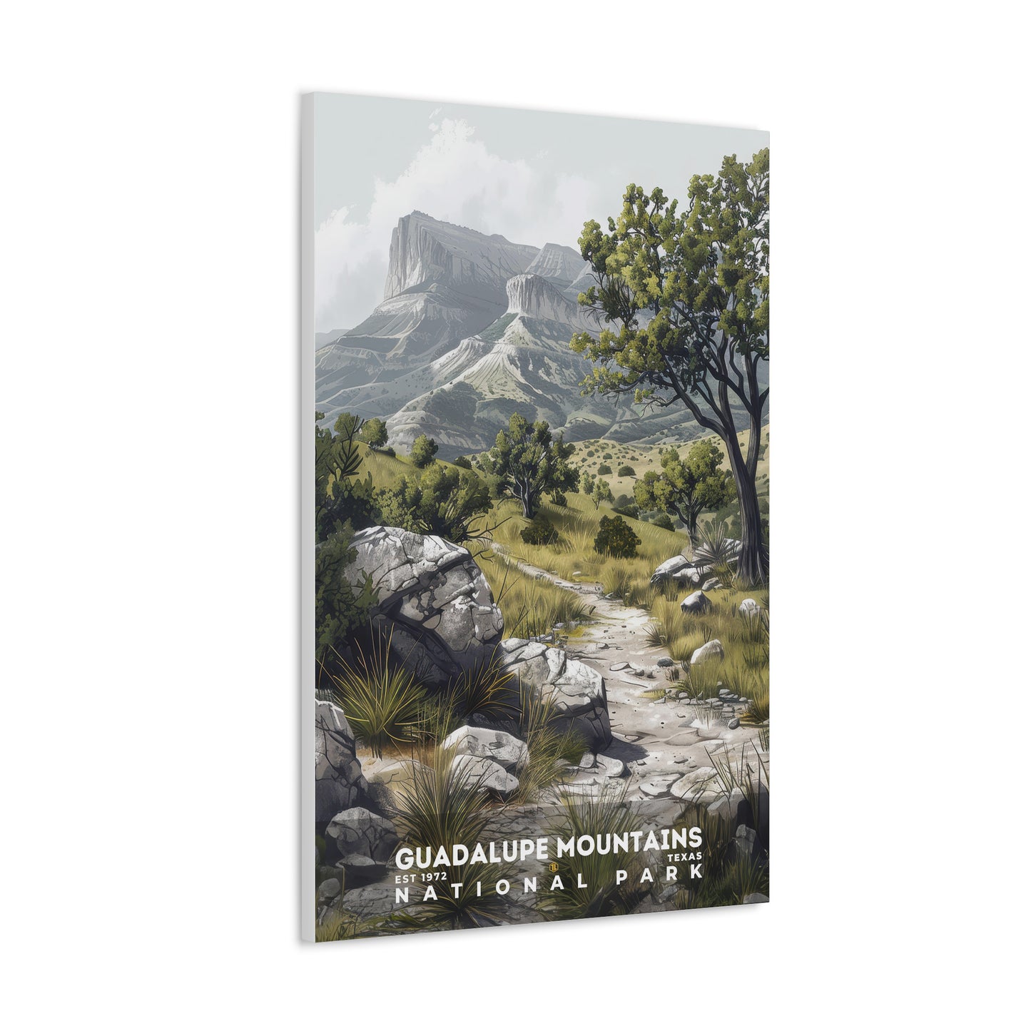 Guadalupe Mountains National Park Poster | S17