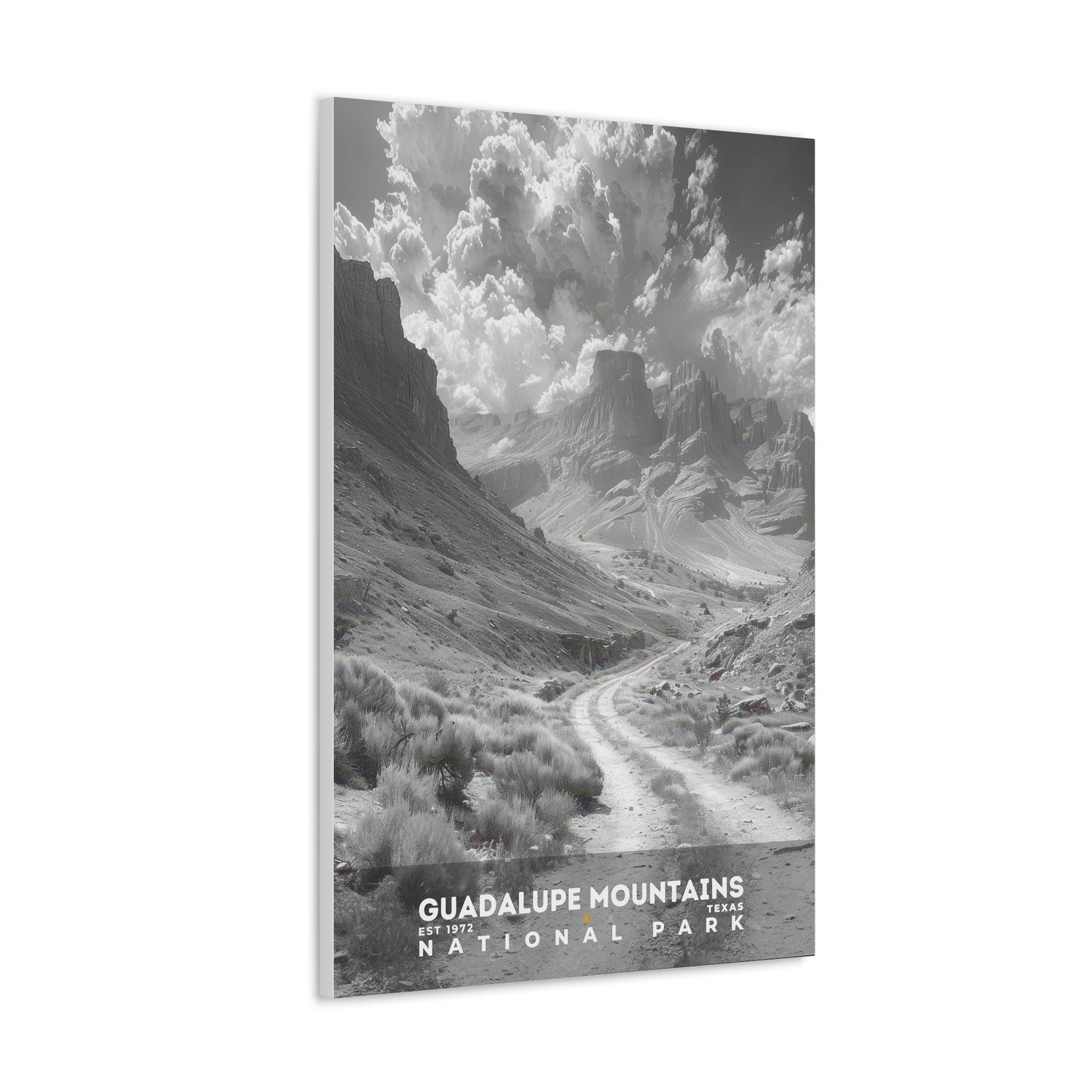Guadalupe Mountains National Park Poster | S15