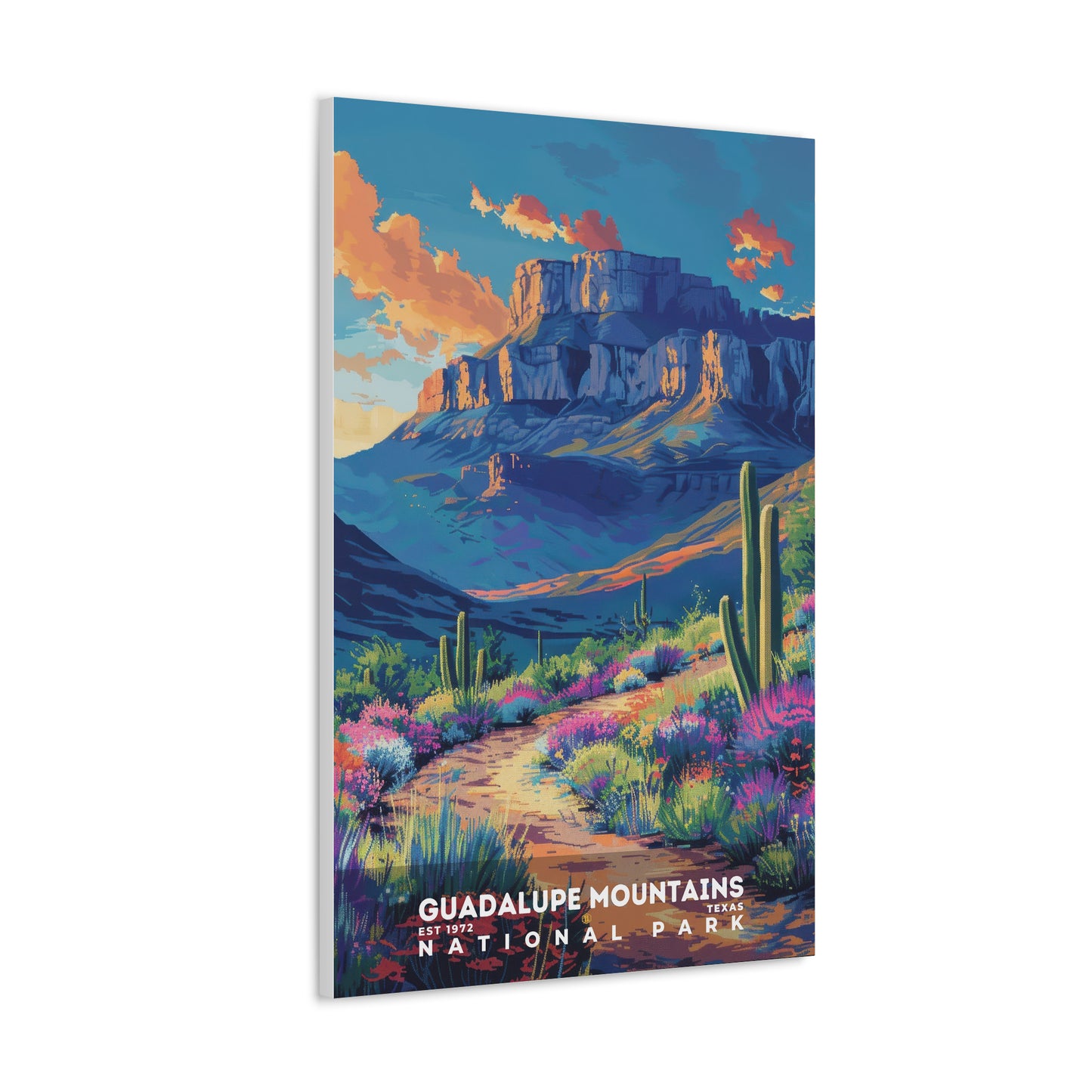 Guadalupe Mountains National Park Poster | S18