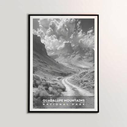 Guadalupe Mountains National Park Poster | S15