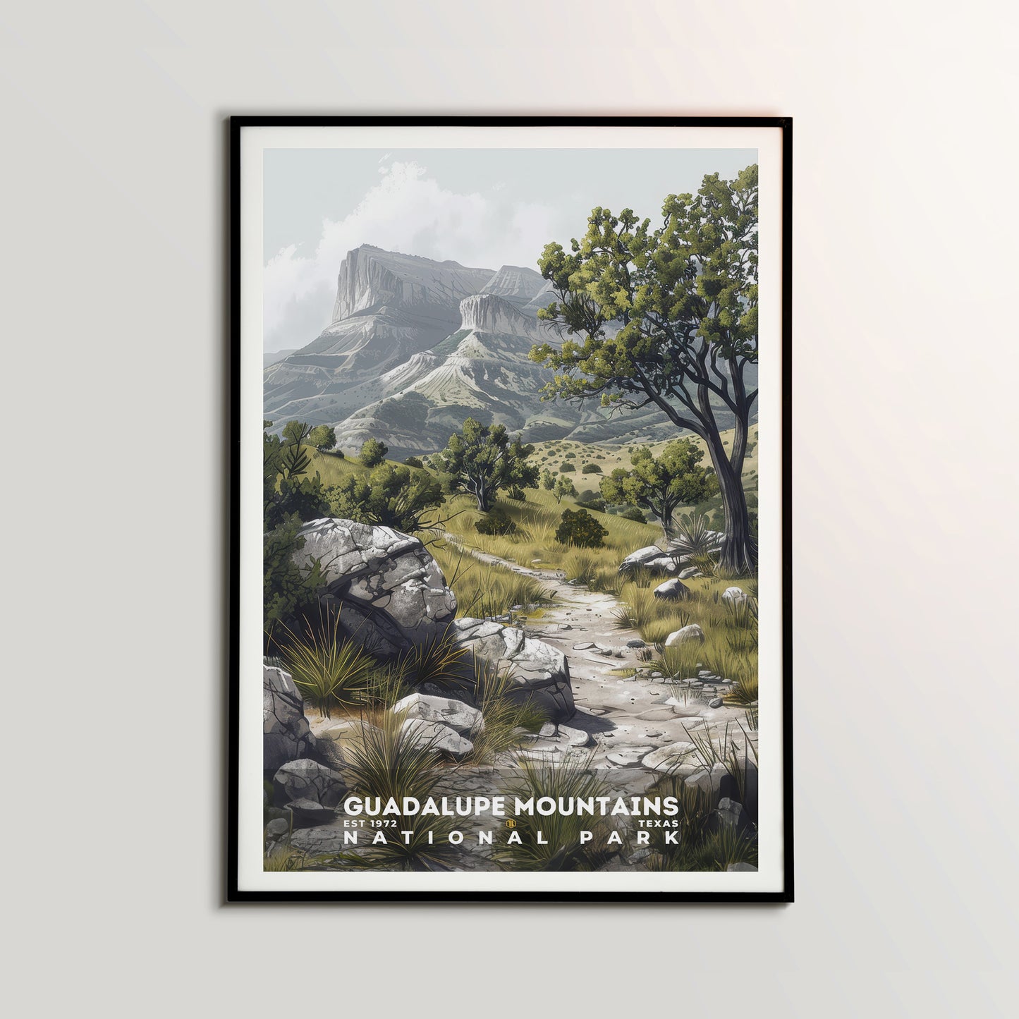 Guadalupe Mountains National Park Poster | S17