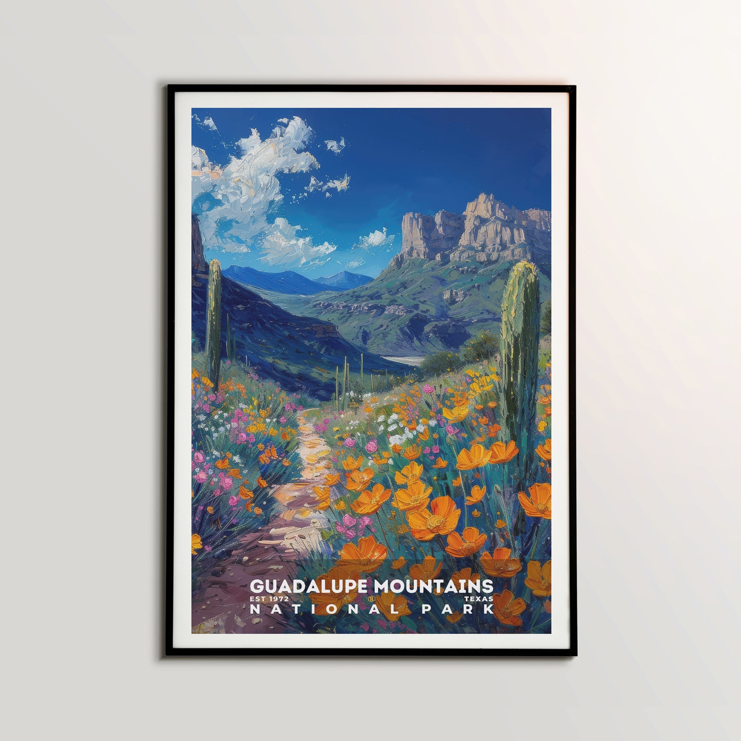 Guadalupe Mountains National Park Poster | S14