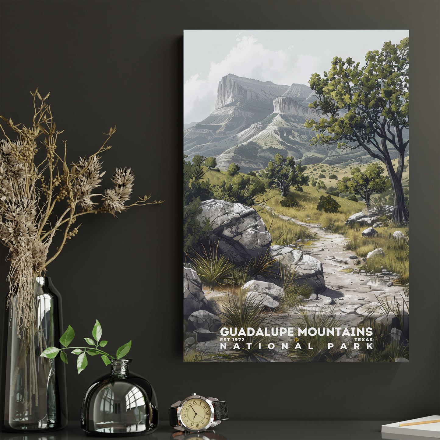 Guadalupe Mountains National Park Poster | S17