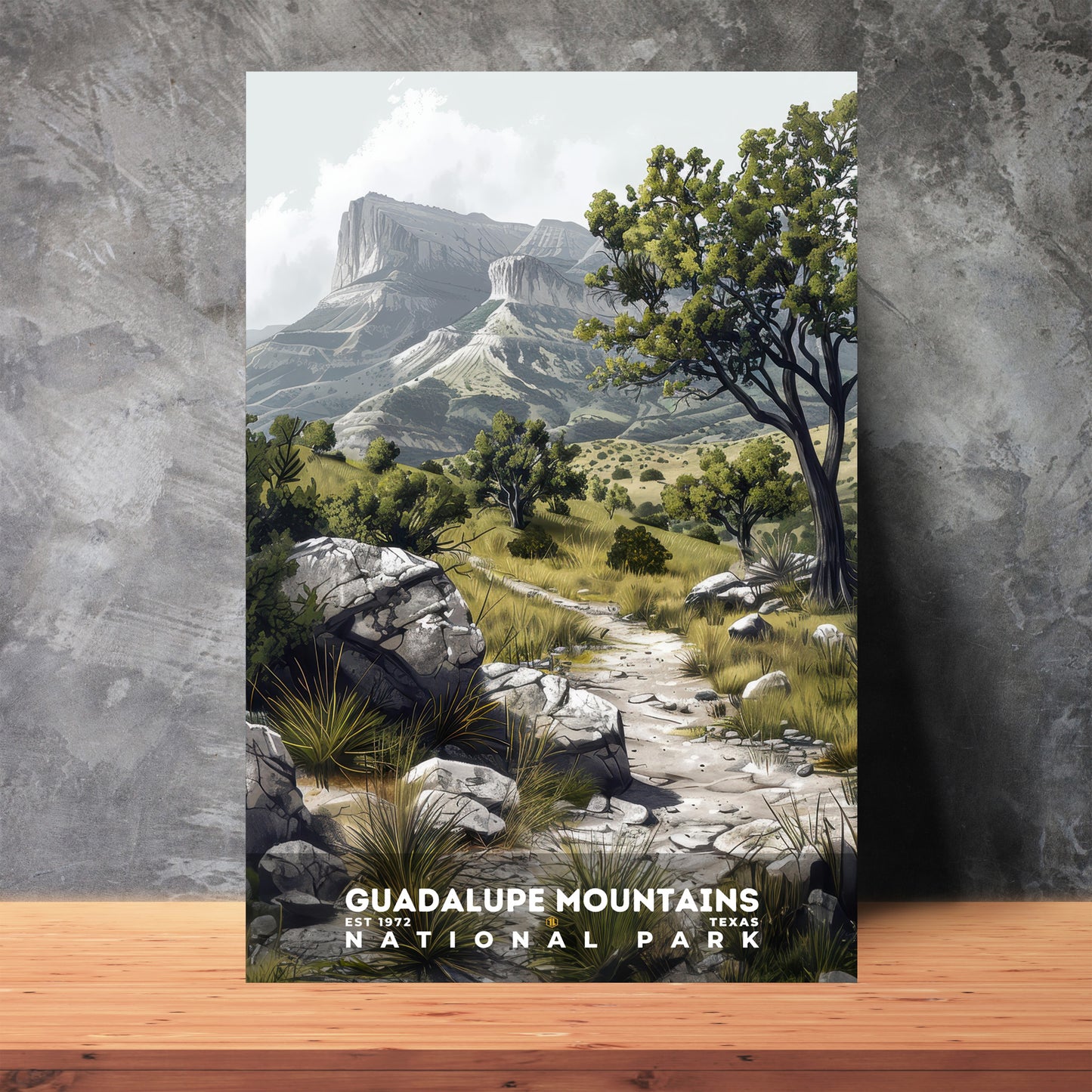 Guadalupe Mountains National Park Poster | S17