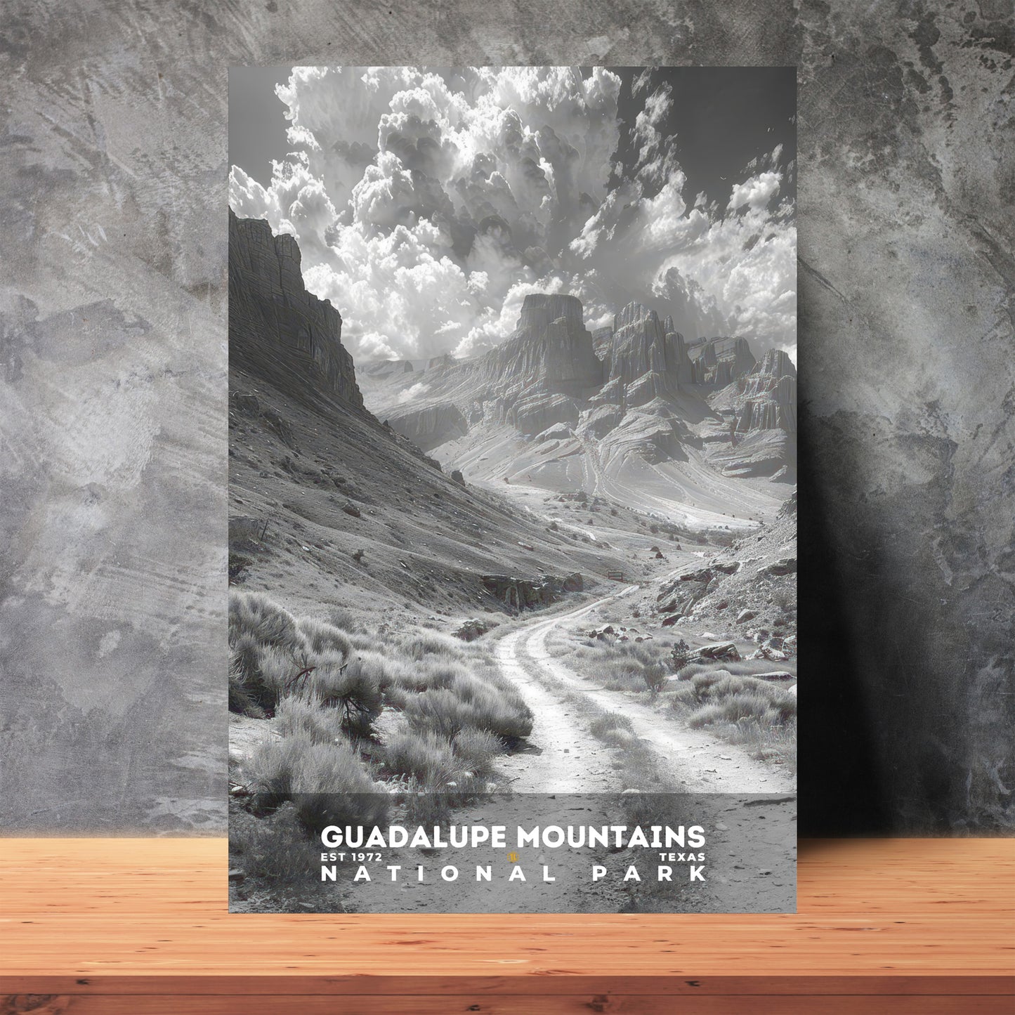 Guadalupe Mountains National Park Poster | S15