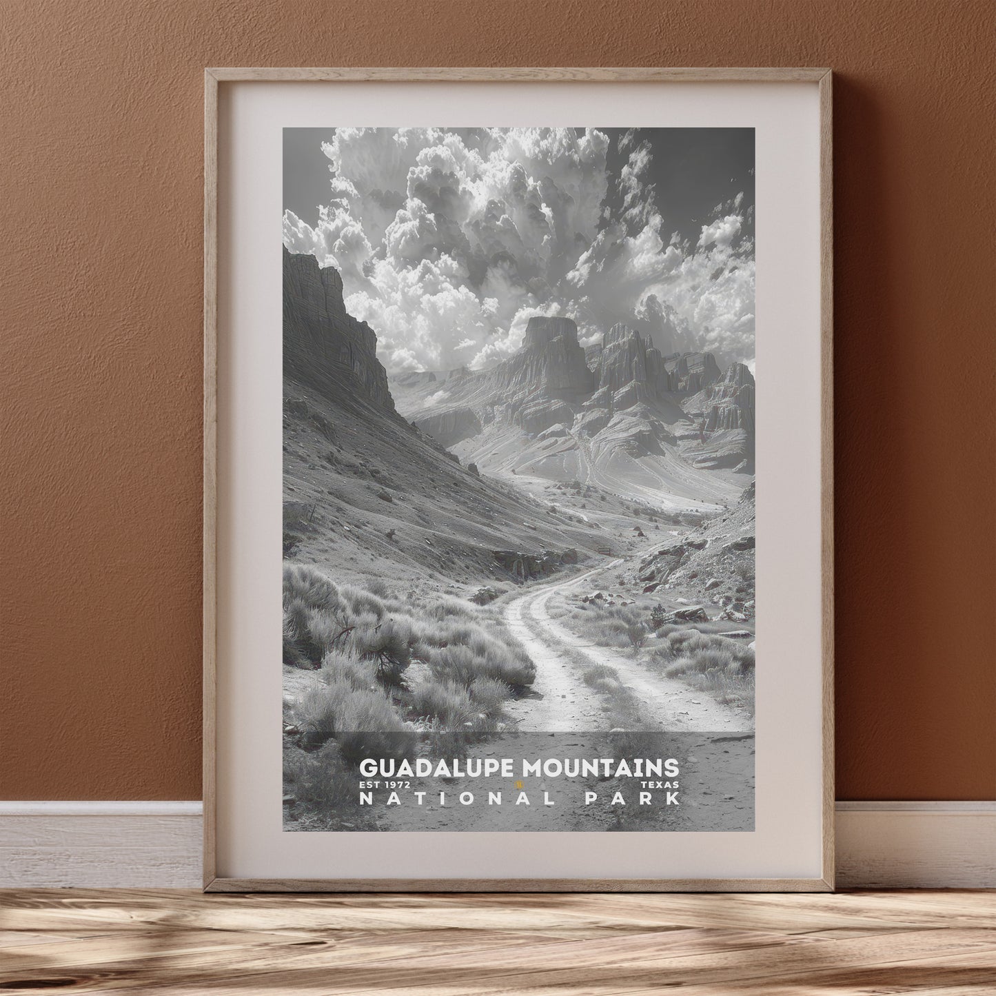 Guadalupe Mountains National Park Poster | S15