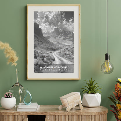 Guadalupe Mountains National Park Poster | S15