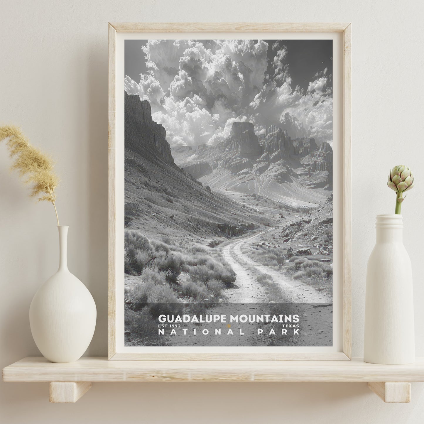 Guadalupe Mountains National Park Poster | S15