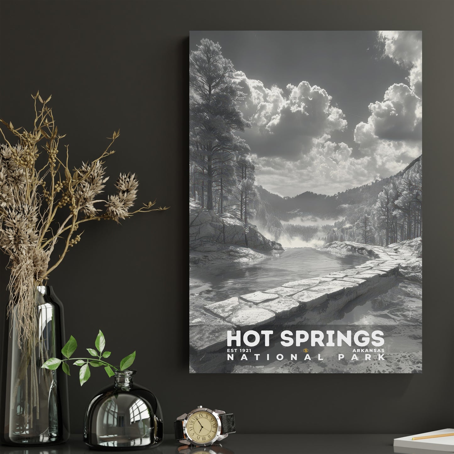 Hot Springs National Park Poster | S15