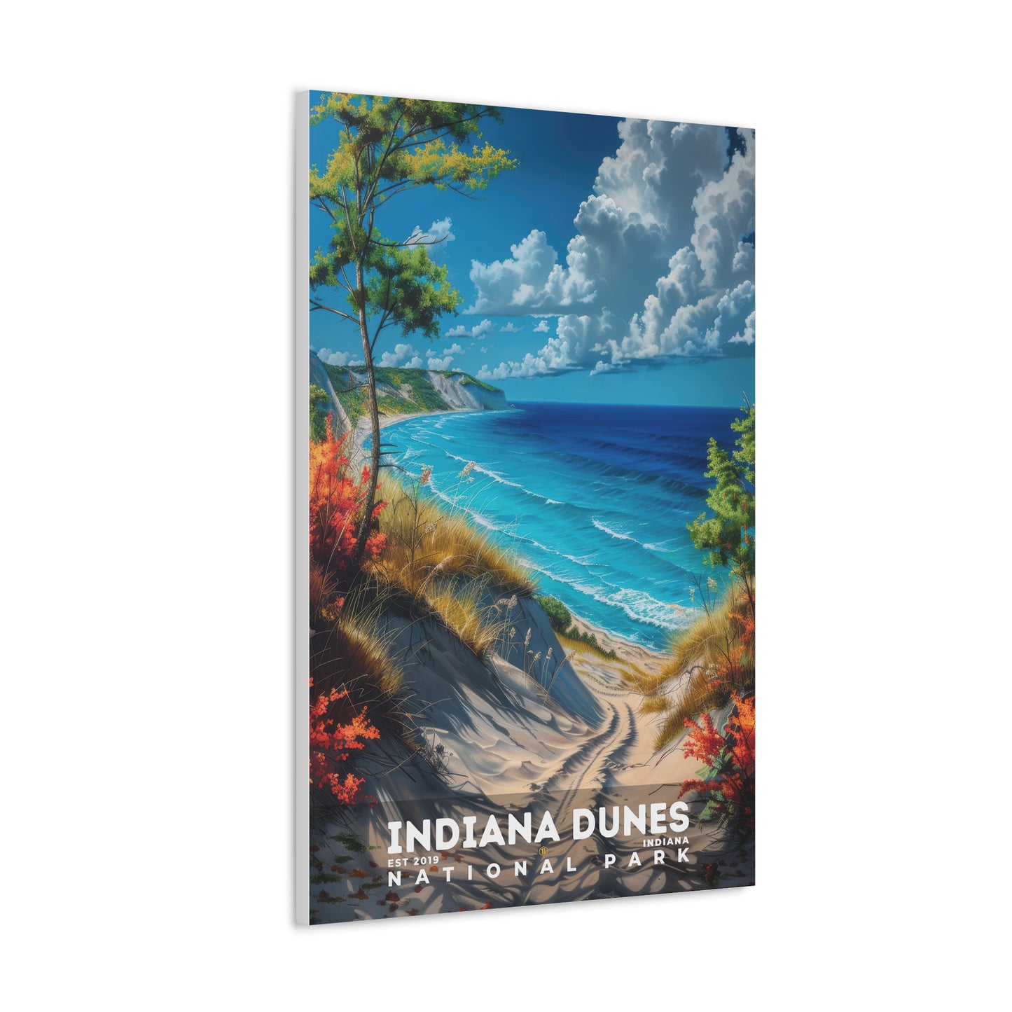 Indiana Dunes National Park Poster | S16