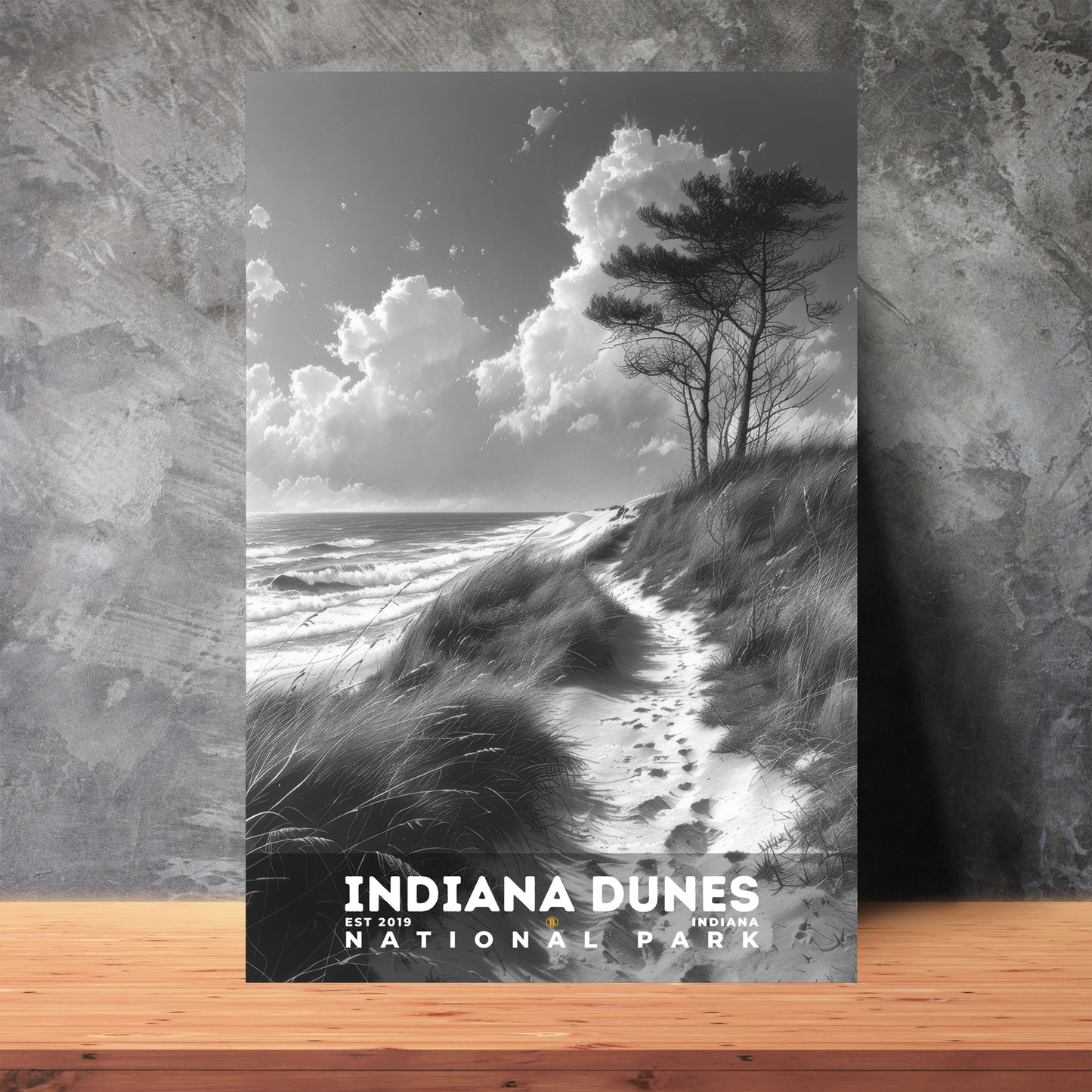 Indiana Dunes National Park Poster | S15