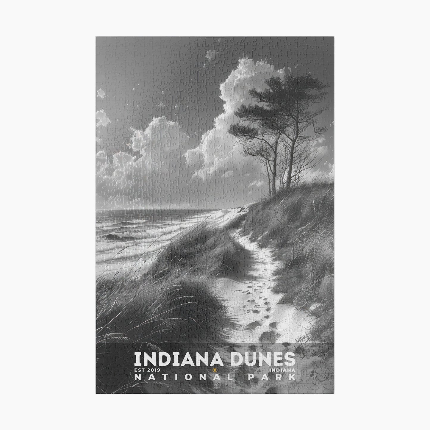 Indiana Dunes National Park Puzzle | S15