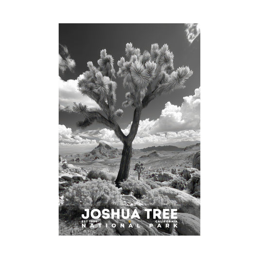 Joshua Tree National Park Poster | S15