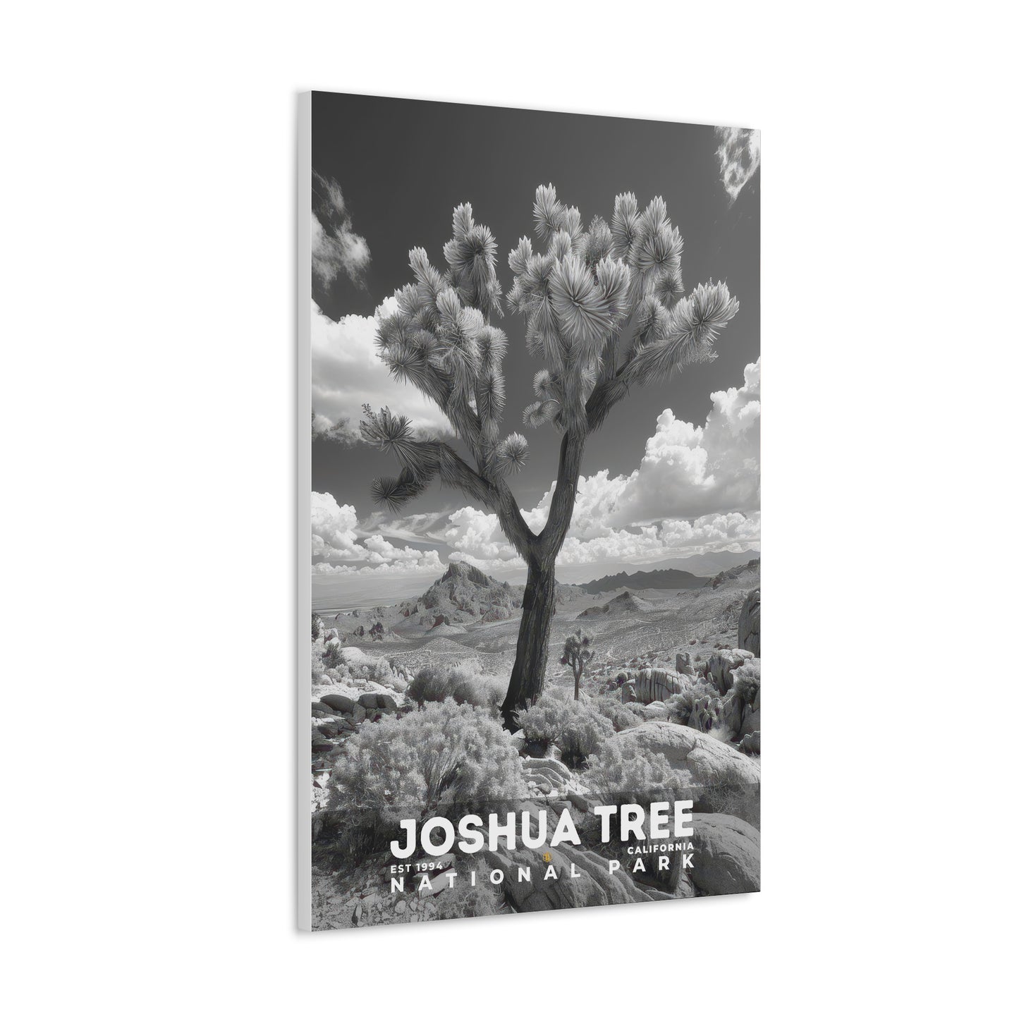 Joshua Tree National Park Poster | S15