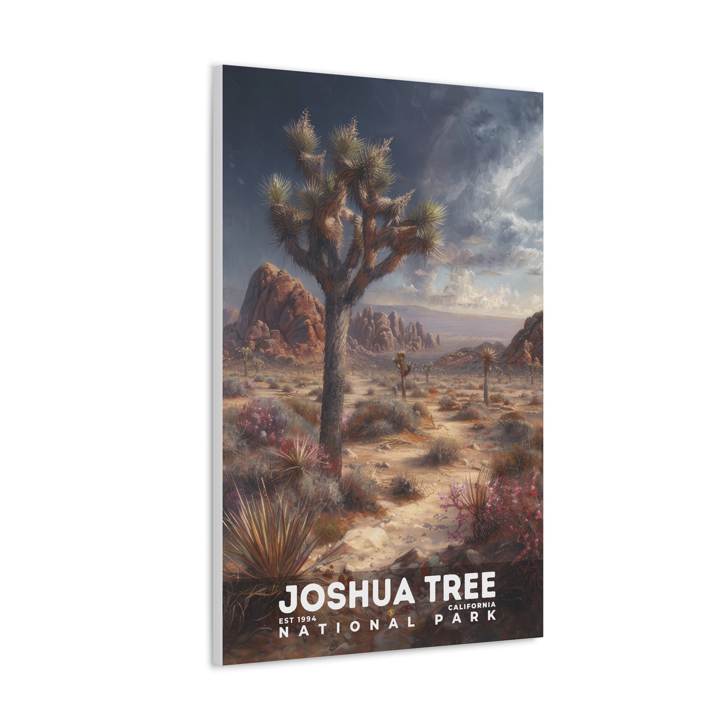 Joshua Tree National Park Poster | S12