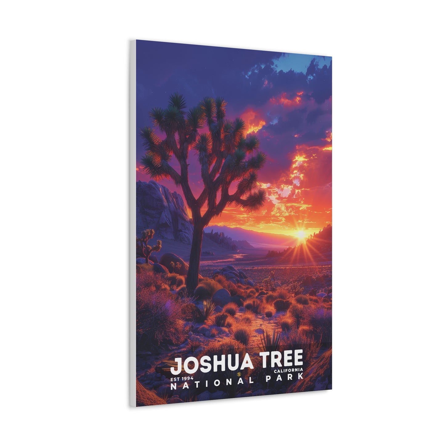 Joshua Tree National Park Poster | S13