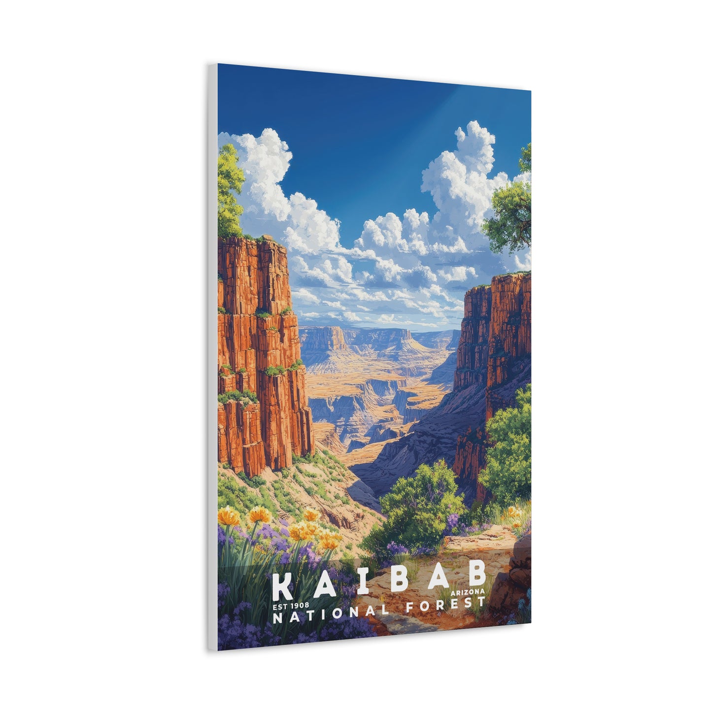 Kaibab National Forest Poster | S02