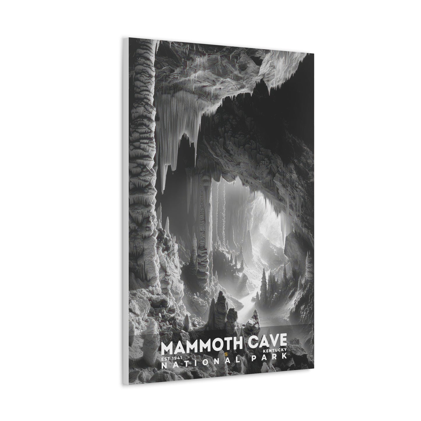 Mammoth Cave National Park Poster | S15